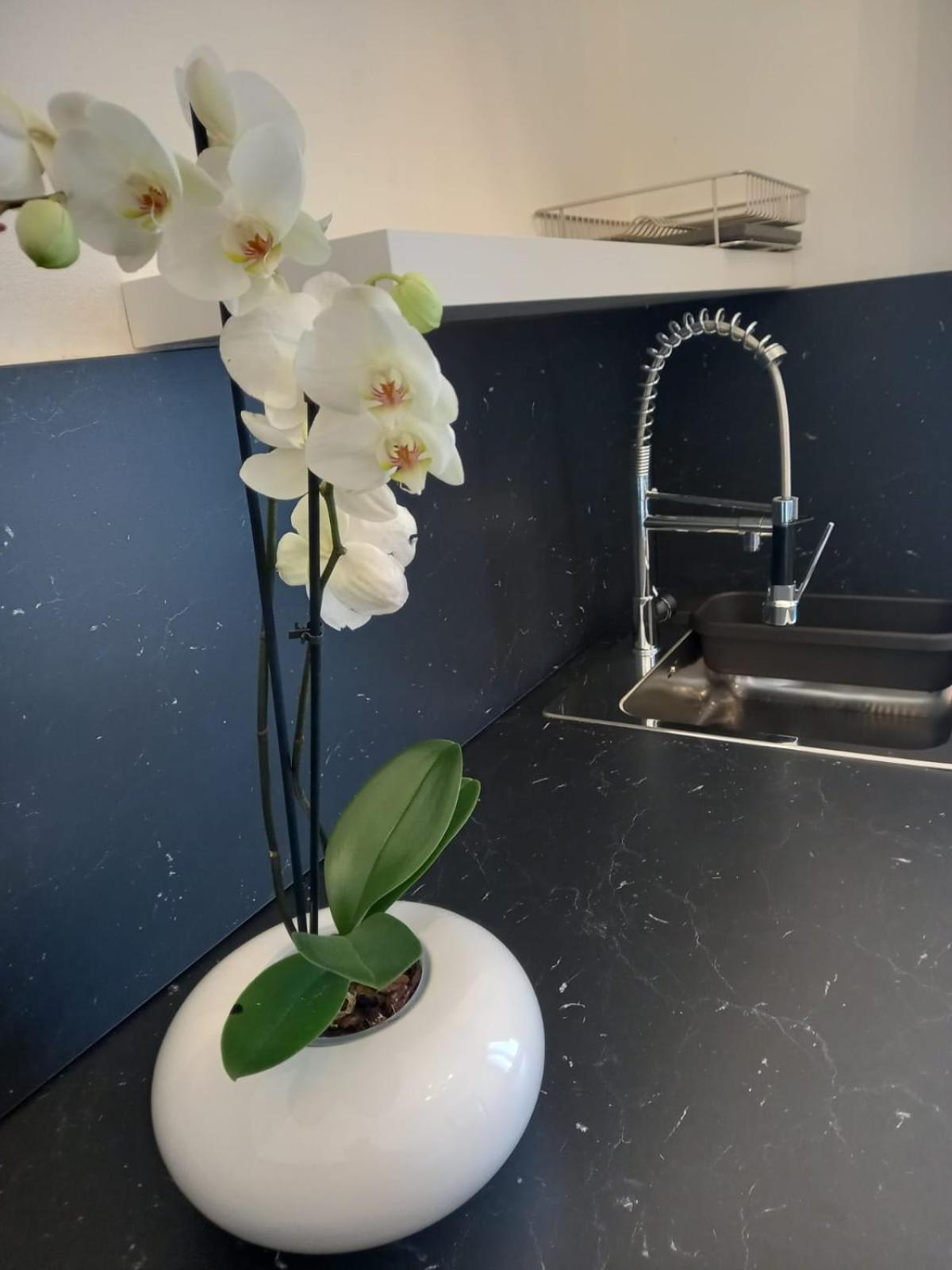 Appartamento Casa Porta Vescovo Verona Esterno foto
